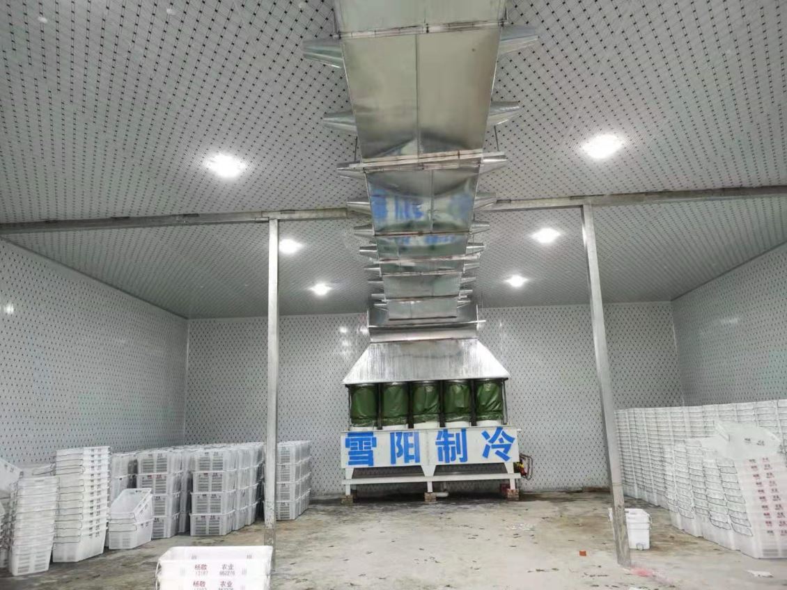 楚雄蔬菜冷库能带